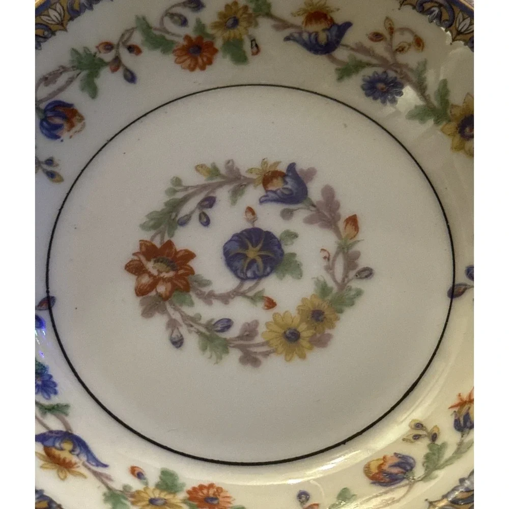 Theodore Haviland Limoges Chateaudun Cup & Saucer Set